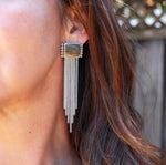Owyhee Jasper Shaley Earrings