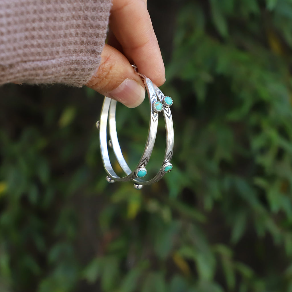 Sonoran Gem  Isabel Hoops MED