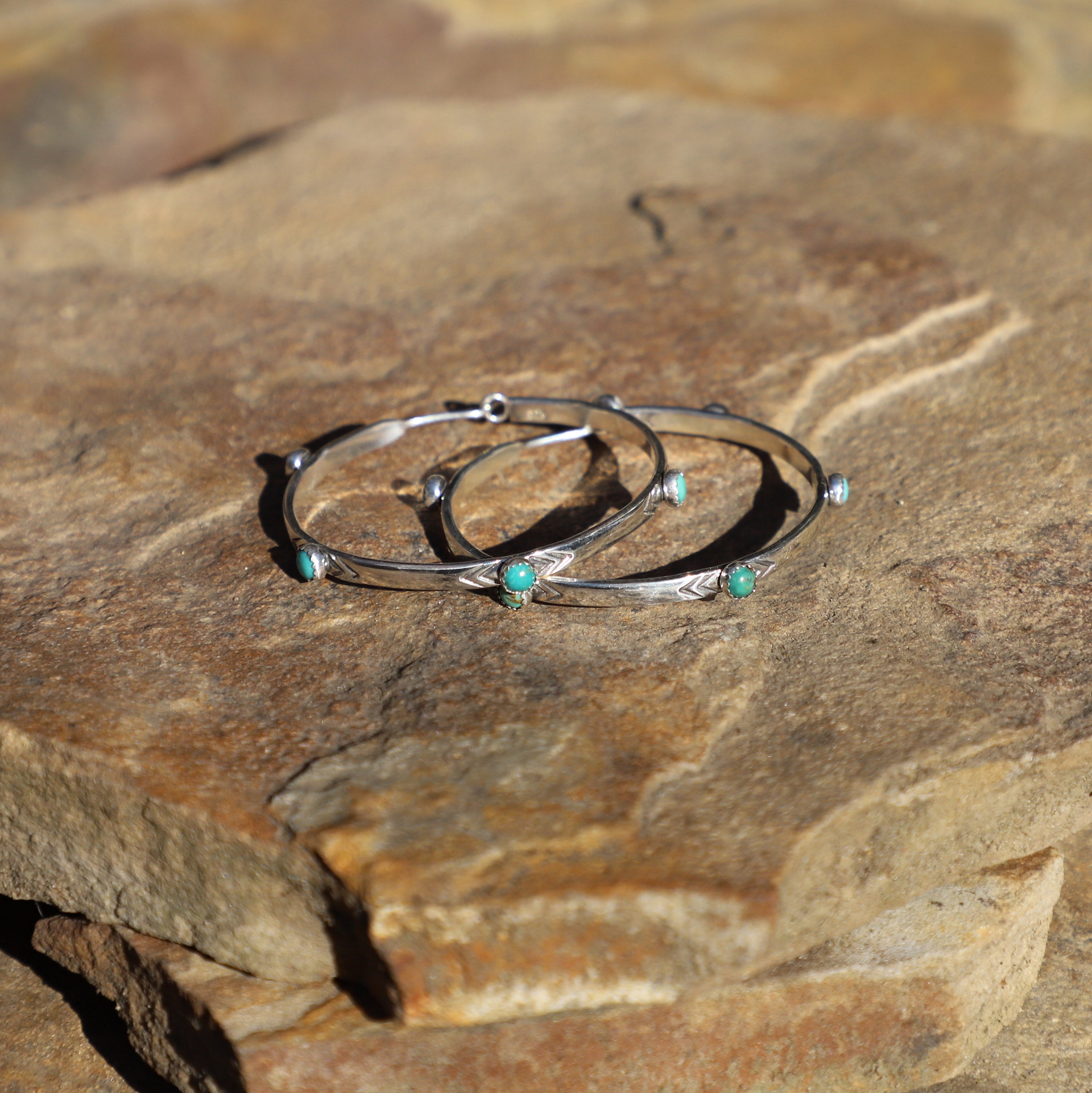 Sonoran Gem  Isabel Hoops MED