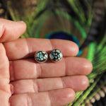 Poseidon Variscite Studs No.2