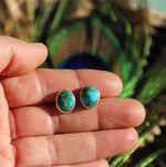 Sonoran Gold Studs