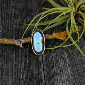 Golden Hill Turquoise Shadowbox Ring No.9